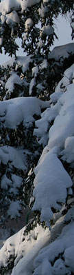 cross country skiing