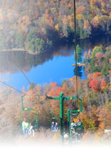 leaf peeping