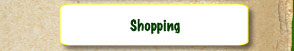 Shopping