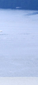 water skiing