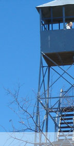 tower