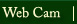 Web Cams