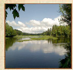 Old Forge Blog
