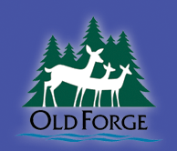 Adirondack Snowmobiling Old Forge New York :: Snowmobile Trail System ...